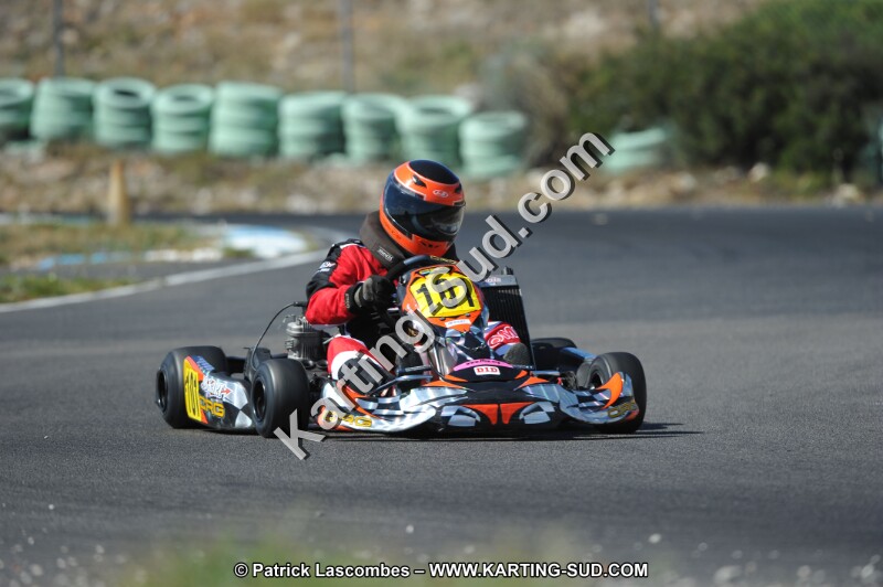 DSC (964).JPG